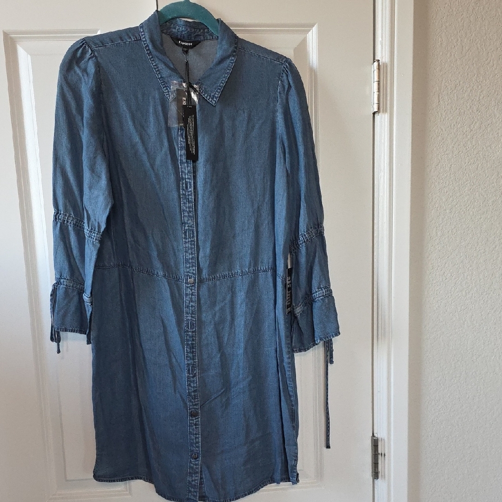Express Chambray Shirt Dress
